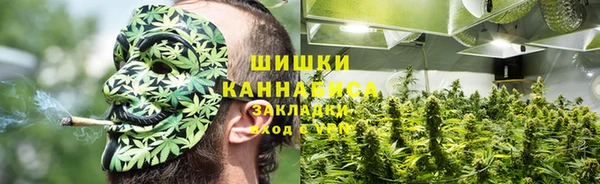 apvp Горно-Алтайск