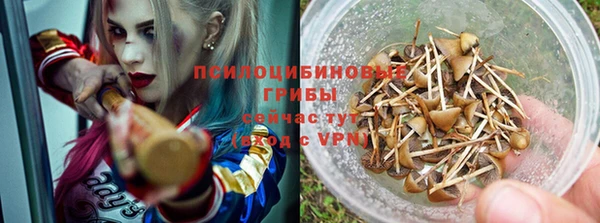 гидропоника Сосновка