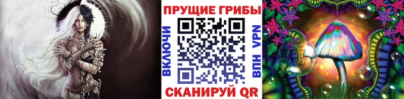 Псилоцибиновые грибы мицелий  Железноводск 